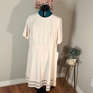 Calvin Klein Light Pink Midi Dress